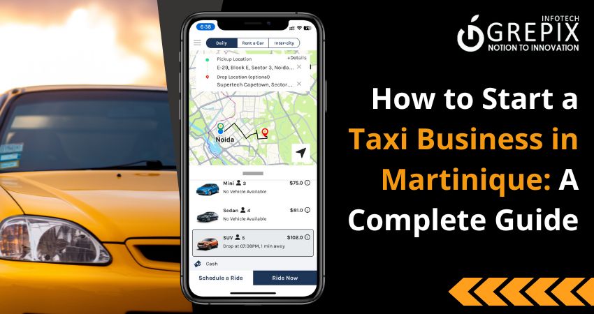 How to Start a Taxi Business in Martinique: A Complete Guide