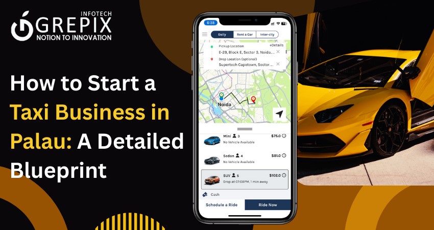 How to Start a Taxi Business in Palau: A Detailed Blueprint