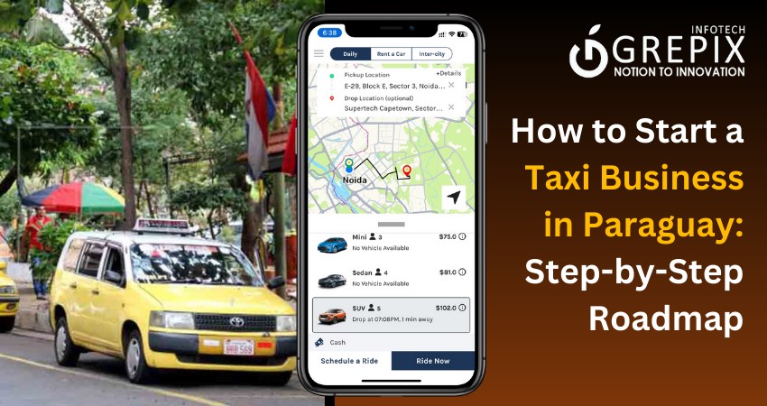 How to Start a Taxi Business in Paraguay: Step-by-Step Roadmap
