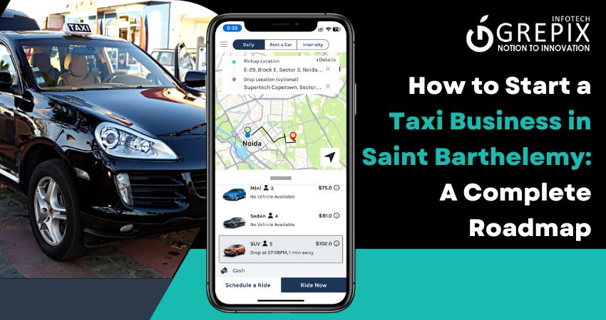 How to Start a Taxi Business in Saint Barthelemy: A Complete Roadmap